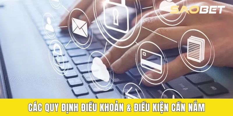 Các quy định điều khoản & điều kiện cần nắm