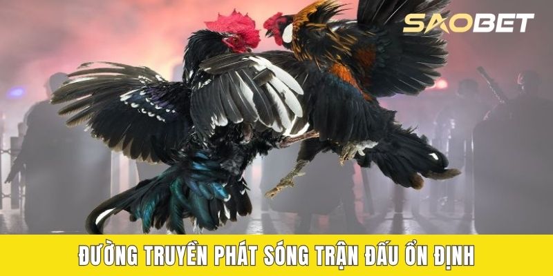 Đường truyền phát sóng trận đấu ổn định