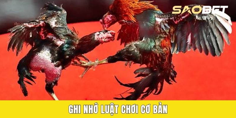 Ghi nhớ luật chơi cơ bản